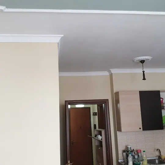 Tavan me kornizë të varur dhe rozetë